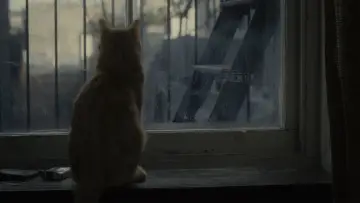 Backdrop to the movie "Inside Llewyn Davis" #881686