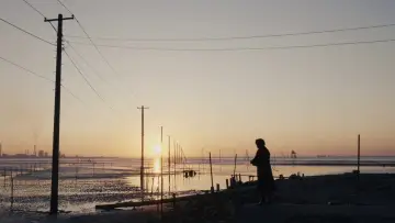 Backdrop to the movie "Shin Kamen Rider" #899773