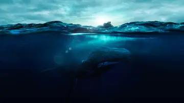Backdrop to the movie "Fathom" #1524275