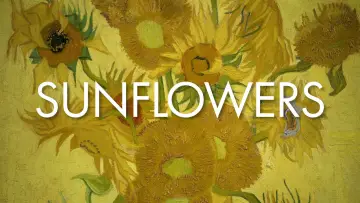 Backdrop to the movie "Sunflowers" #719692