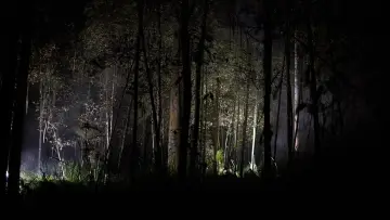 Backdrop to the movie "Force of Nature: The Dry 2" #430470