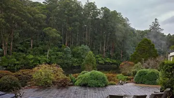 Backdrop to the movie "Force of Nature: The Dry 2" #430480