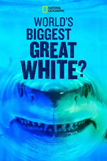 World's Biggest Great White? Poster