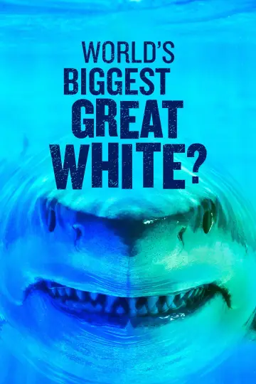 Poster to the movie "World