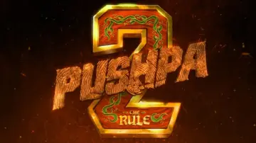 Backdrop to the movie "Pushpa 2 - The Rule" #535447