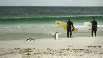 Backdrop to the movie "Transcending Waves" #1201128