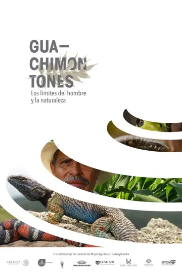 Poster to the movie "Guachimontones, los límites del hombre y la naturaleza." #1200866