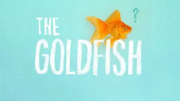 Backdrop to the movie "The Goldfish" #1573213