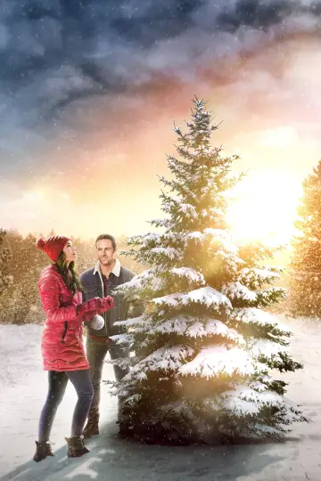 Poster to the movie "The Christmas Promise" #404274