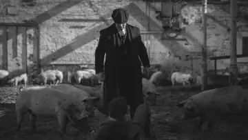 Backdrop to the movie "Peaky Blinders: The Immortal Man" #1197692