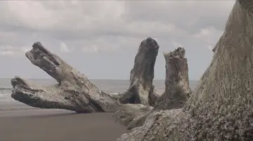 Backdrop to the movie "Saved From The Waters" #1432831