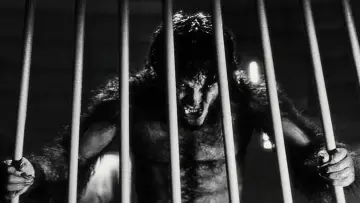 Werewolf by Night