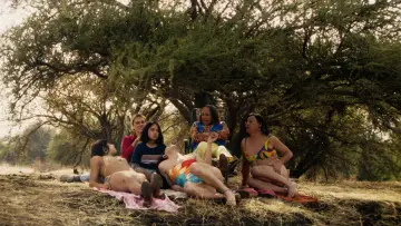 Backdrop to the movie "The Mysterious Gaze of the Flamingo" #531826
