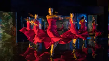 Backdrop to the movie "Flamenco Flamenco" #744752