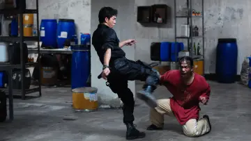Backdrop to the movie "The Raid" #676006
