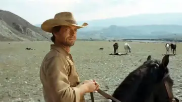 Backdrop to the movie "I Want Him Dead" #1728202