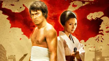 Backdrop to the movie "Wandering Ginza Butterfly: She-Cat Gambler" #1619921