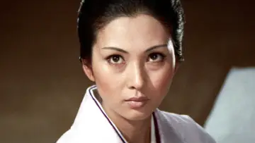 Backdrop to the movie "Wandering Ginza Butterfly: She-Cat Gambler" #1619925