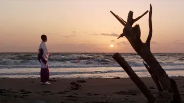 Backdrop to the movie "Wandering Ginza Butterfly: She-Cat Gambler" #1619926