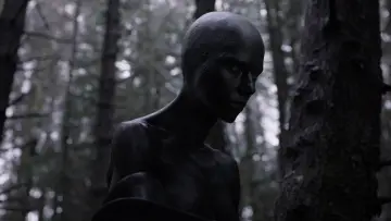 Backdrop to the movie "Under the Skin" #805175