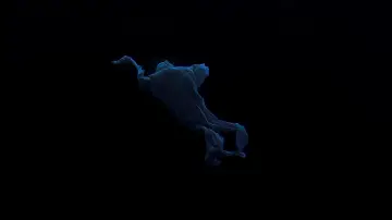 Backdrop to the movie "Under the Skin" #805187