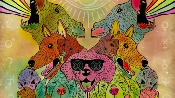 Backdrop to the movie "Doggiewoggiez! Poochiewoochiez!" #1921071