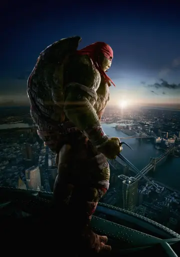 Poster to the movie "Teenage Mutant Ninja Turtles" #376304