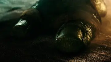 Backdrop to the movie "Teenage Mutant Ninja Turtles" #801229