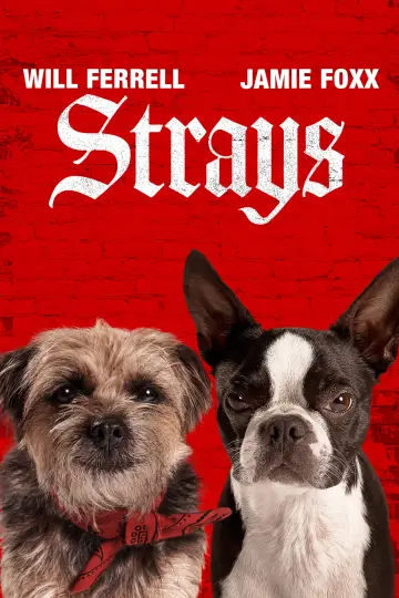 Poster to the movie "Strays" #734717