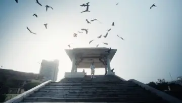 Backdrop to the movie "All That Breathes" #1858301