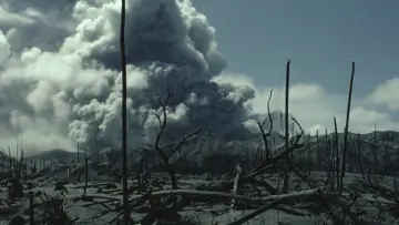 Backdrop to the movie "Fire of Love" #1168605