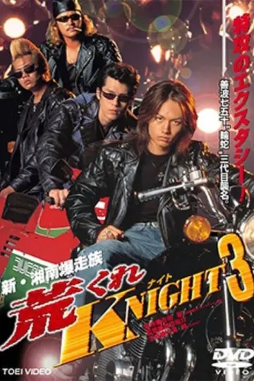 Rough KNIGHT 3 Poster