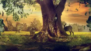 Backdrop to the movie "Heart of an Oak" #792500