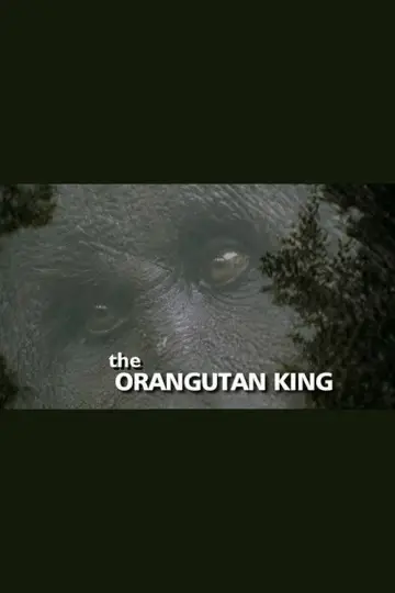 Poster to the movie "The Orangutan King" #1146838