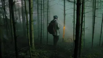Backdrop to the movie "The Silent Forest" #373124