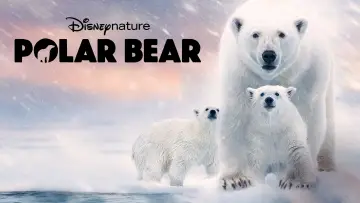 Backdrop to the movie "Polar Bear" #1072562