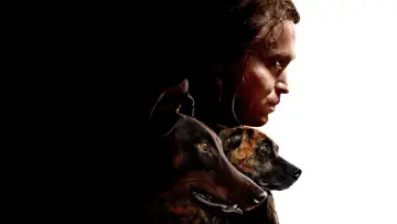 Backdrop to the movie "Dogman" #314955