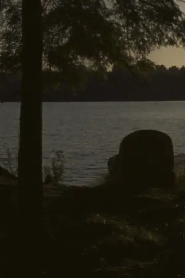Poster to the movie "Falcon Lake" #760043