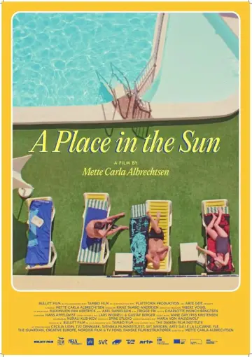 Poster to the movie "A Place in the Sun" #1015632