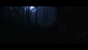 Backdrop to the movie "Birth" #1146691