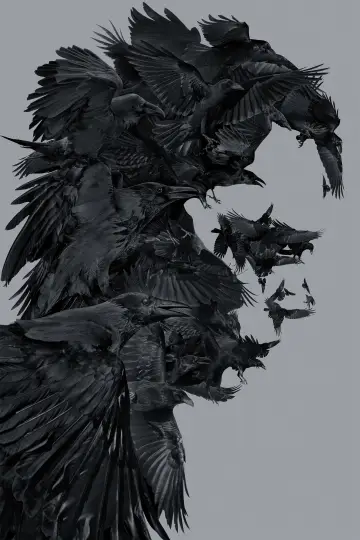 Poster to the movie "The Crow" #762084