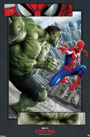 Poster to the movie "Spider-Man: Brand New Day" #1211963