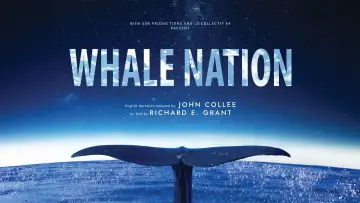 Backdrop to the movie "Whale Nation" #747470