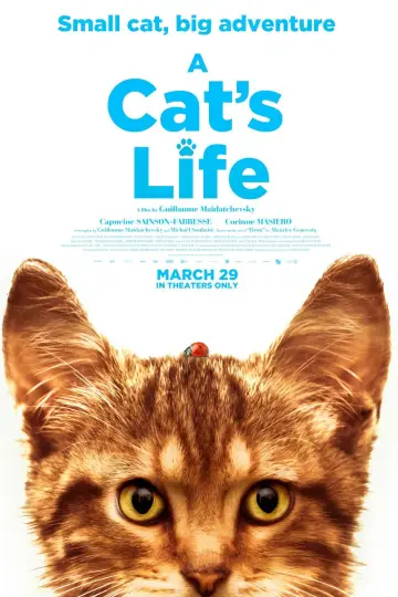 Poster to the movie "A Cat