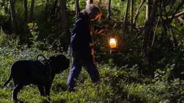 Backdrop to the movie "A Cat