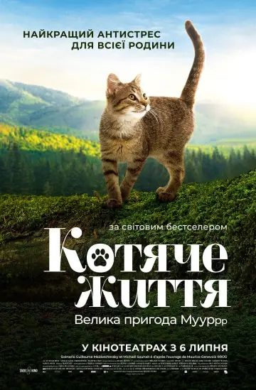A Cat's Life