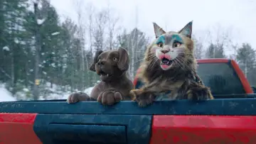 Backdrop to the movie "Cat and Dog" #429766