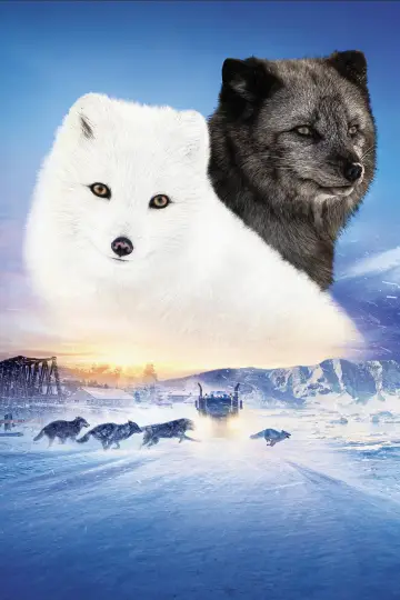 Poster to the movie "Kina & Yuk" #476375