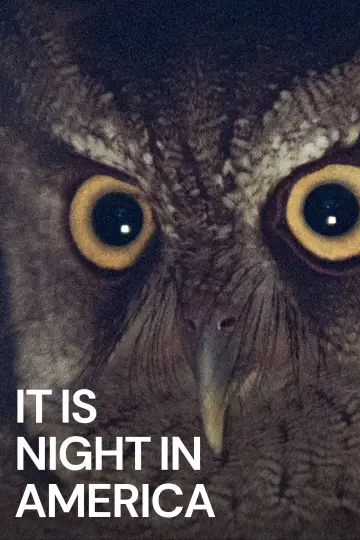 It Is Night in America