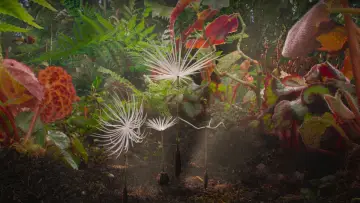 Backdrop to the movie "Dandelion